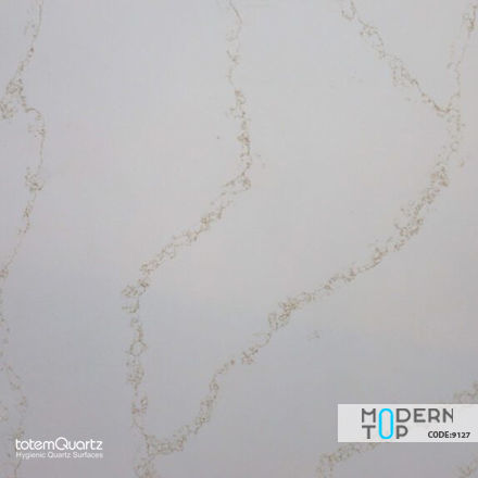 کوارتز توتم 9127 Nebbia D.Oro