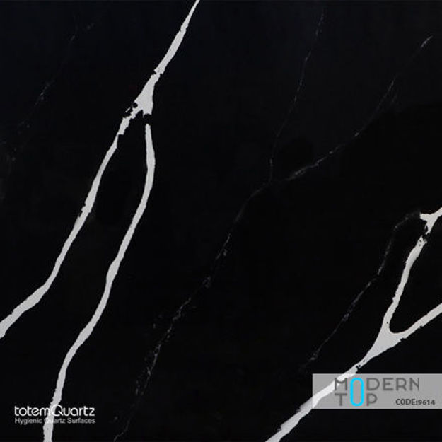 کوارتز توتم 9614 Panda Nero